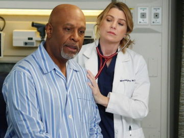 Richar Webber y Meredith Grey en 'Anatomía de Grey'