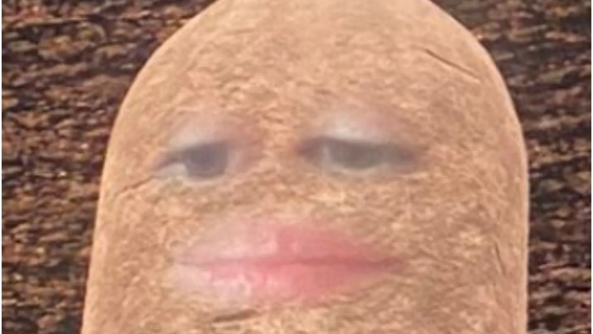 Lizet Ocampo con el divertido filtro Lizet Ocampo con el divertido filtro