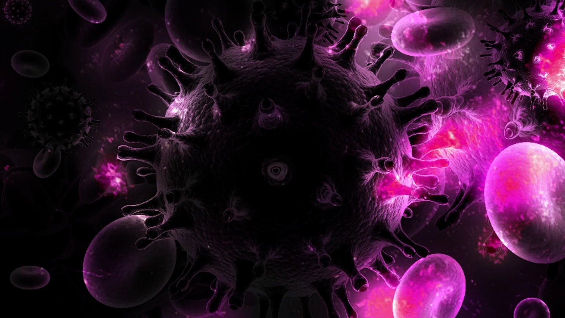 VIH virus VIH virus