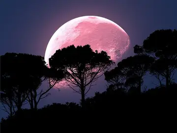 Luna Llena Rosa 2020: ¿Cuándo y cómo ver la luna rosa desde España? Luna Llena Rosa 2020: ¿Cuándo y cómo ver la luna rosa desde España?