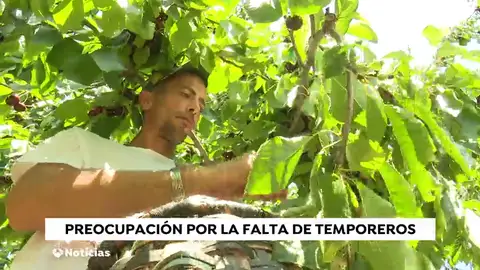 El Gobierno permite compatibilizar el paro con la contratación en el campo para que se puedan recoger las cosechas El Gobierno permite compatibilizar el paro con la contratación en el campo para que se puedan recoger las cosechas