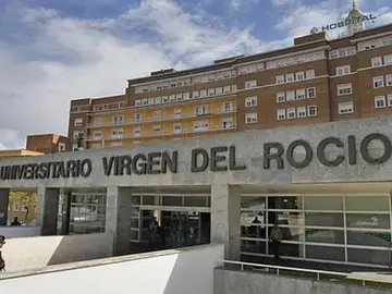 El Hospital Virgen del Rocío se prepara para seguir recibiendo a más pacientes Covid El Hospital Virgen del Rocío se prepara para seguir recibiendo a más pacientes Covid