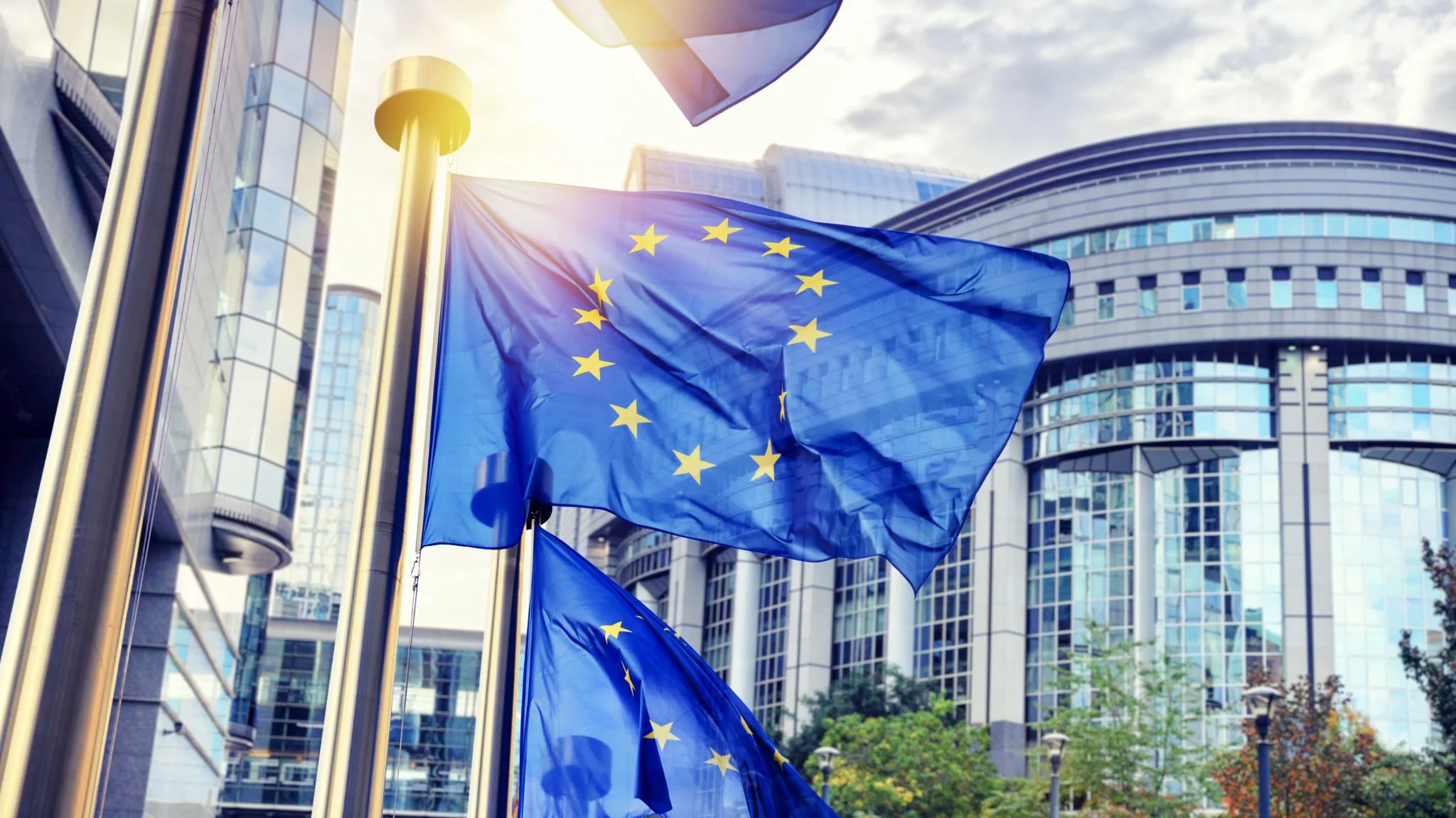 El Orden Mundial: Agitación política en Polonia por defender el europeísmo El Orden Mundial: Agitación política en Polonia por defender el europeísmo
