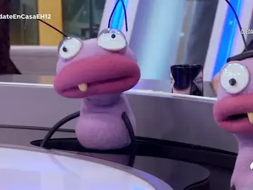 Barrancas resuelve tus problemas: "¿Puedes llamar a Pedro Sánchez para darle tus soluciones?" Barrancas resuelve tus problemas: "¿Puedes llamar a Pedro Sánchez para darle tus soluciones?"