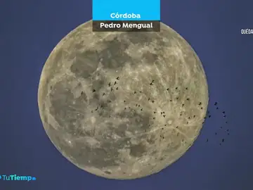 Superluna Superluna