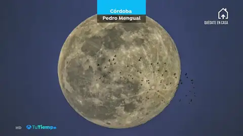 Superluna superluna