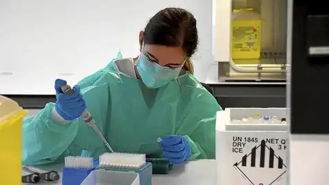 Test para detectar el coronavirus. Test para detectar el coronavirus