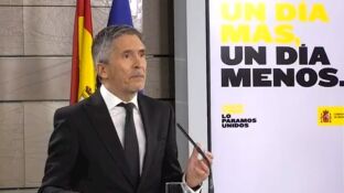 Comparecencia de Grande-Marlaska en Moncloa