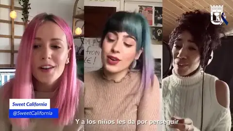 canción canción