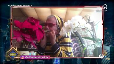 Millán Salcedo se convierte en una peculiar abeja en su nuevo vídeo surrealista