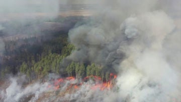Incendio cerca de la central nuclear de Chernóbil 
