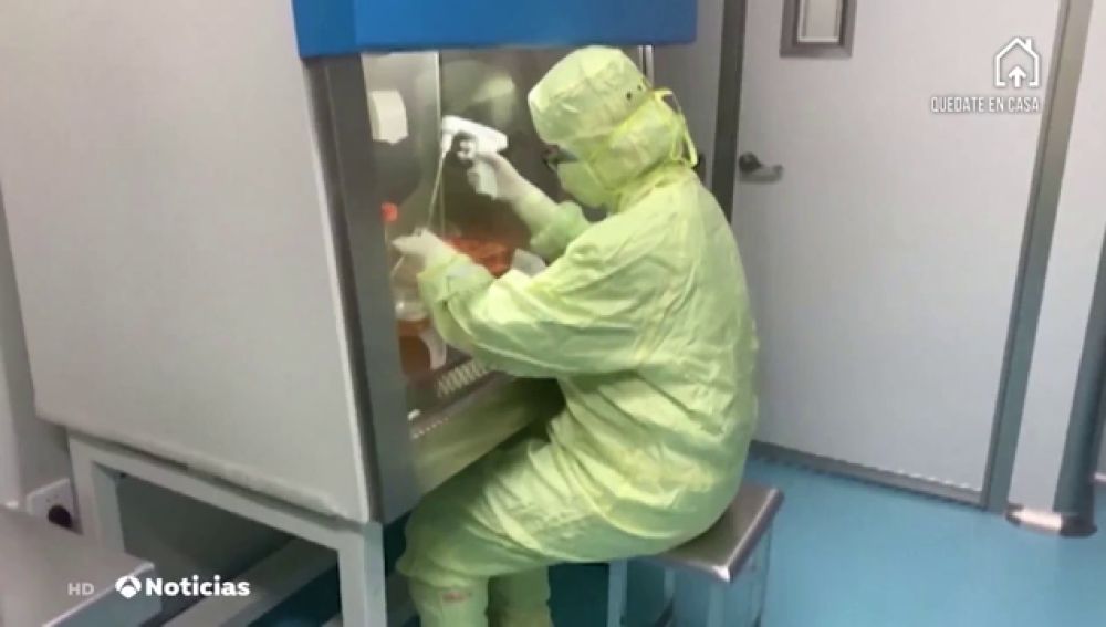 China ensayará en humanos dos posibles vacunas del coronavirus