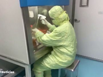 China ensayará en humanos dos posibles vacunas del coronavirus