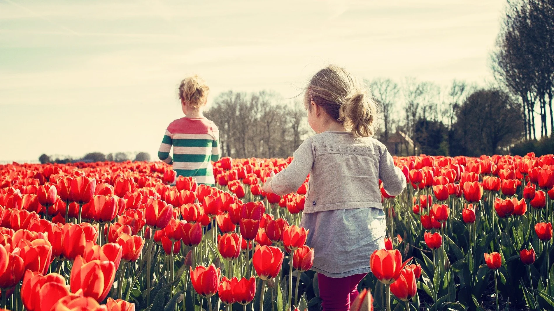 Día del Niño 2020: ¿Por qué se celebra el 15 de abril en España? Día del Niño 2020: ¿Por qué se celebra el 15 de abril en España?
