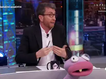 Pablo Motos, sobre el incumplimiento de la cuarentena de Mariano Rajoy: "Ha salido a pasear porque se cree que es especial" Pablo Motos, sobre el incumplimiento de la cuarentena de Mariano Rajoy: "Ha salido a pasear porque se cree que es especial"