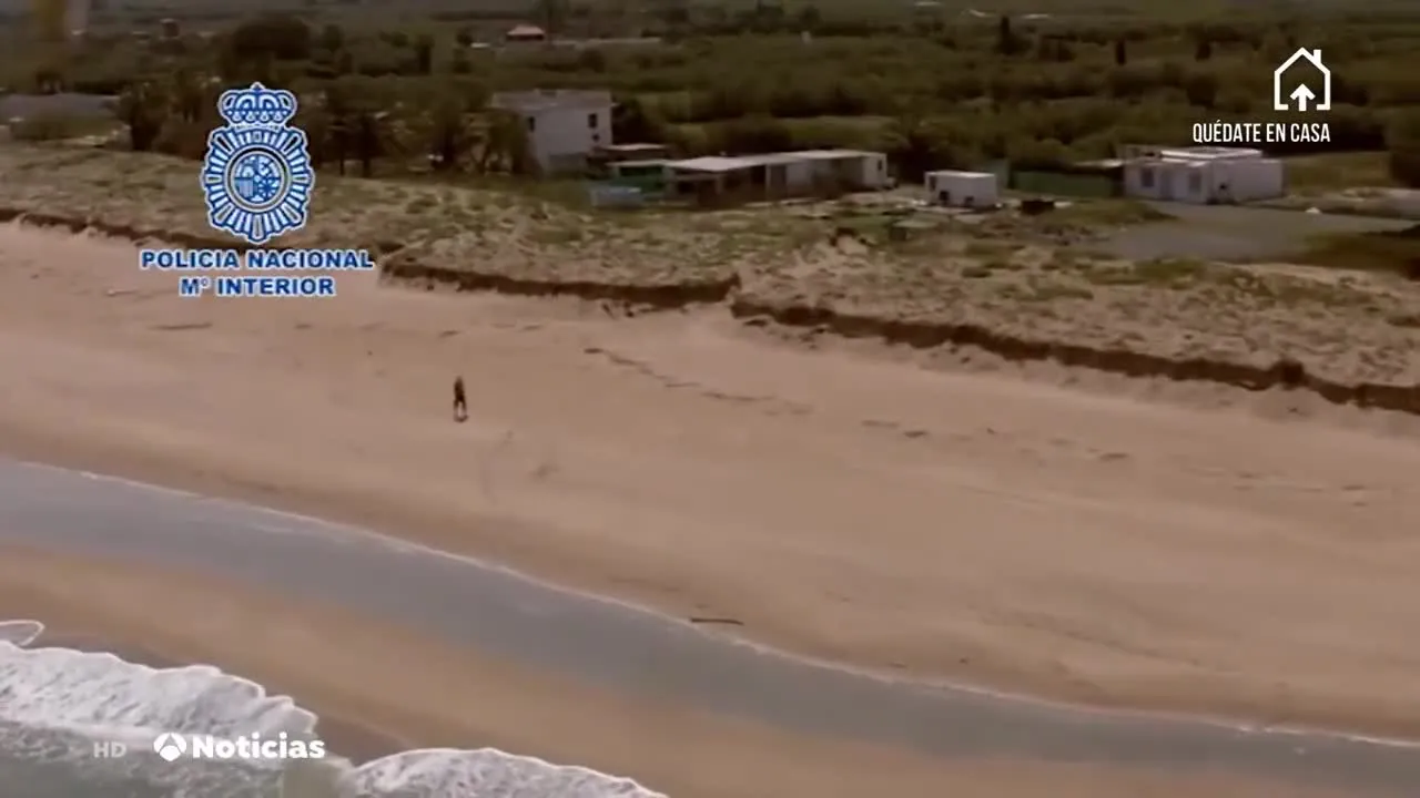 Multado por pasear por la playa en Valencia durante el confinamiento Multado por pasear por la playa en Valencia durante el confinamiento