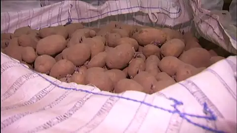Urge la venta de más de cuatro millones de kilos de patatas almacenadas en Galicia por el parón del coronavirus Urge la venta de más de cuatro millones de kilos de patatas almacenadas en Galicia por el parón del coronavirus