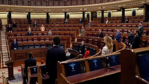 Minuto de silencio en el pleno en el Congreso Minuto de silencio en el pleno en el Congreso