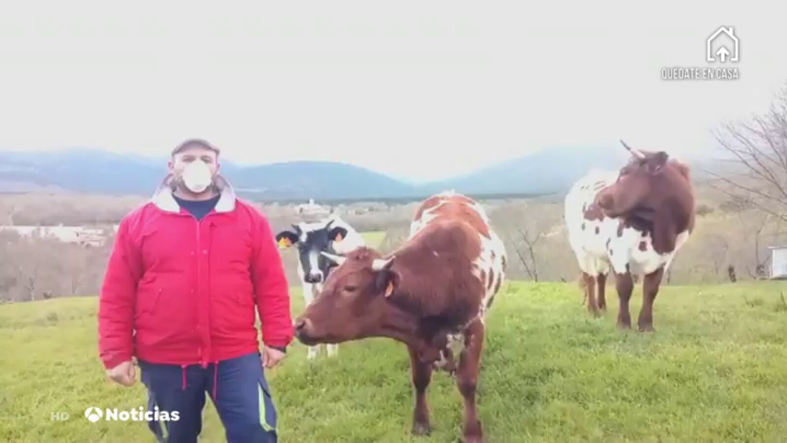 Plan de apoyo a los agricultores y ganaderos madrileños por el coronavirus