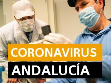 Coronavirus Andalucía hoy | Última hora del coronavirus en Andalucía, en directo | Orthocoronavirinae