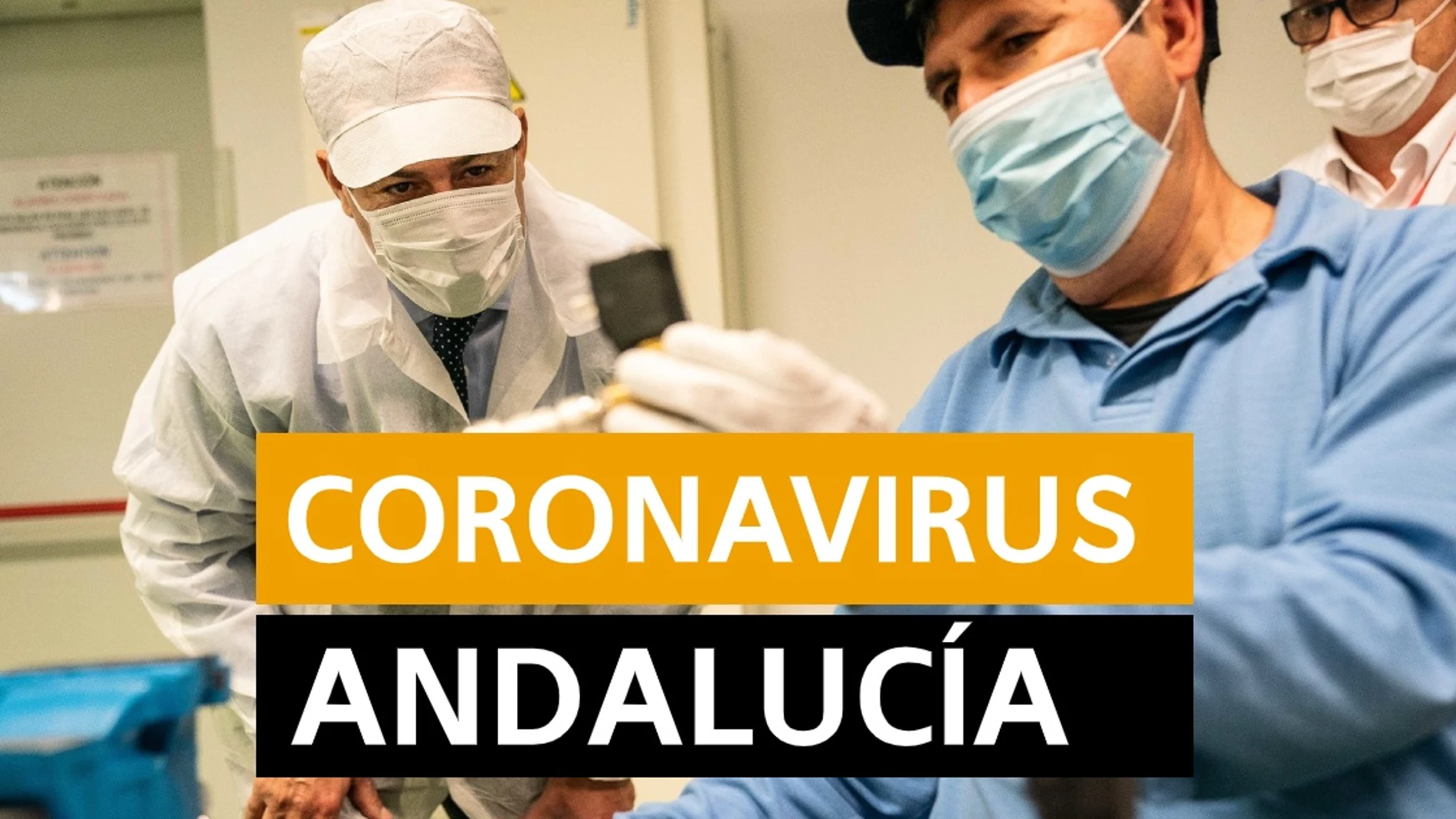 Coronavirus Andalucía hoy | Última hora del coronavirus en Andalucía, en directo | Orthocoronavirinae Coronavirus Andalucía hoy | Última hora del coronavirus en Andalucía, en directo | Orthocoronavirinae