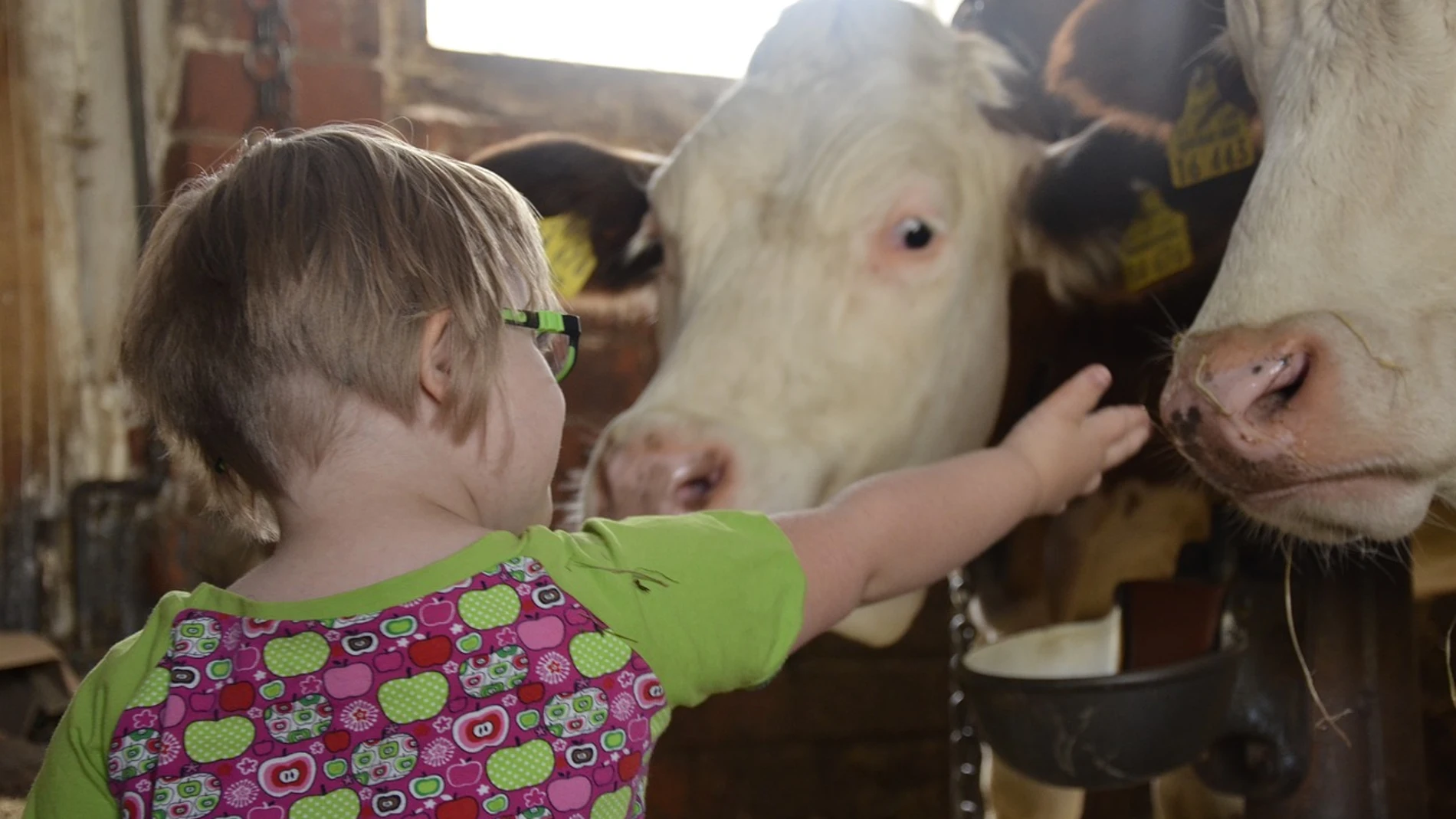 niño con síndrome de Down niño con síndrome de Down