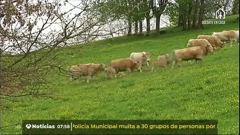 TURISMO RURAL TURISMO RURAL