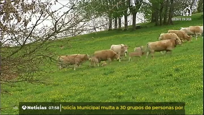 TURISMO RURAL TURISMO RURAL