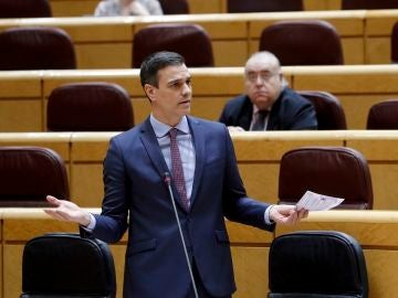 Pedro Sánchez en el Senado