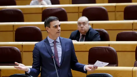 Pedro Sánchez en el Senado Pedro Sánchez en el Senado