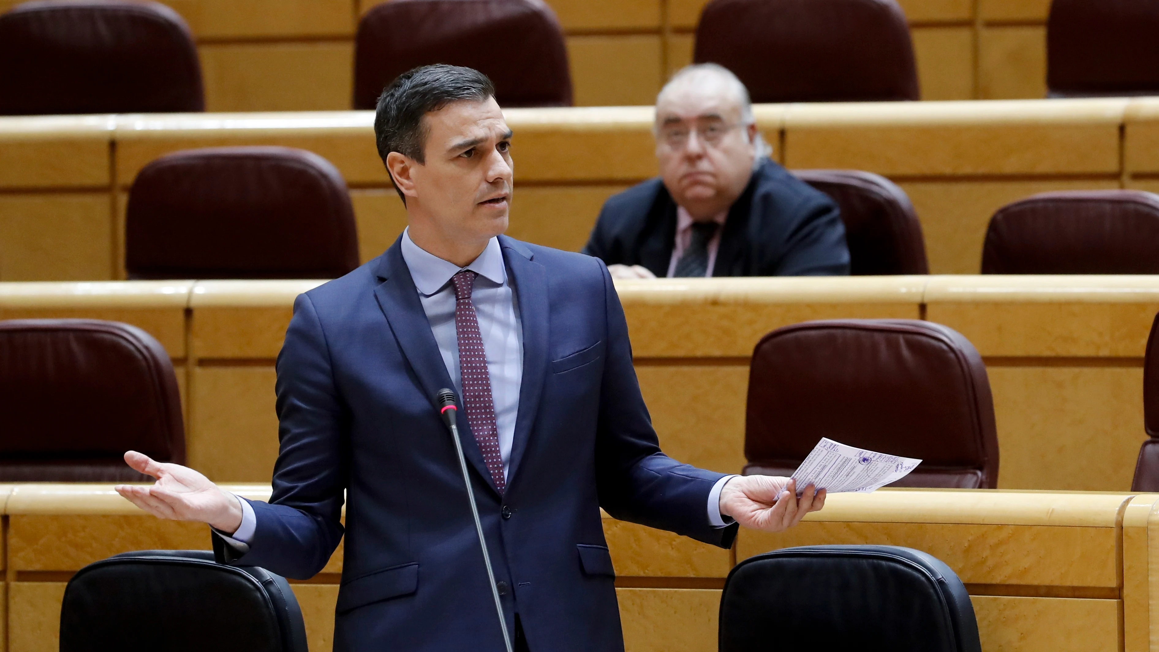 Pedro Sánchez en el Senado Pedro Sánchez en el Senado