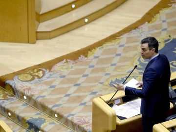 Pedro Sánchez en el Senado