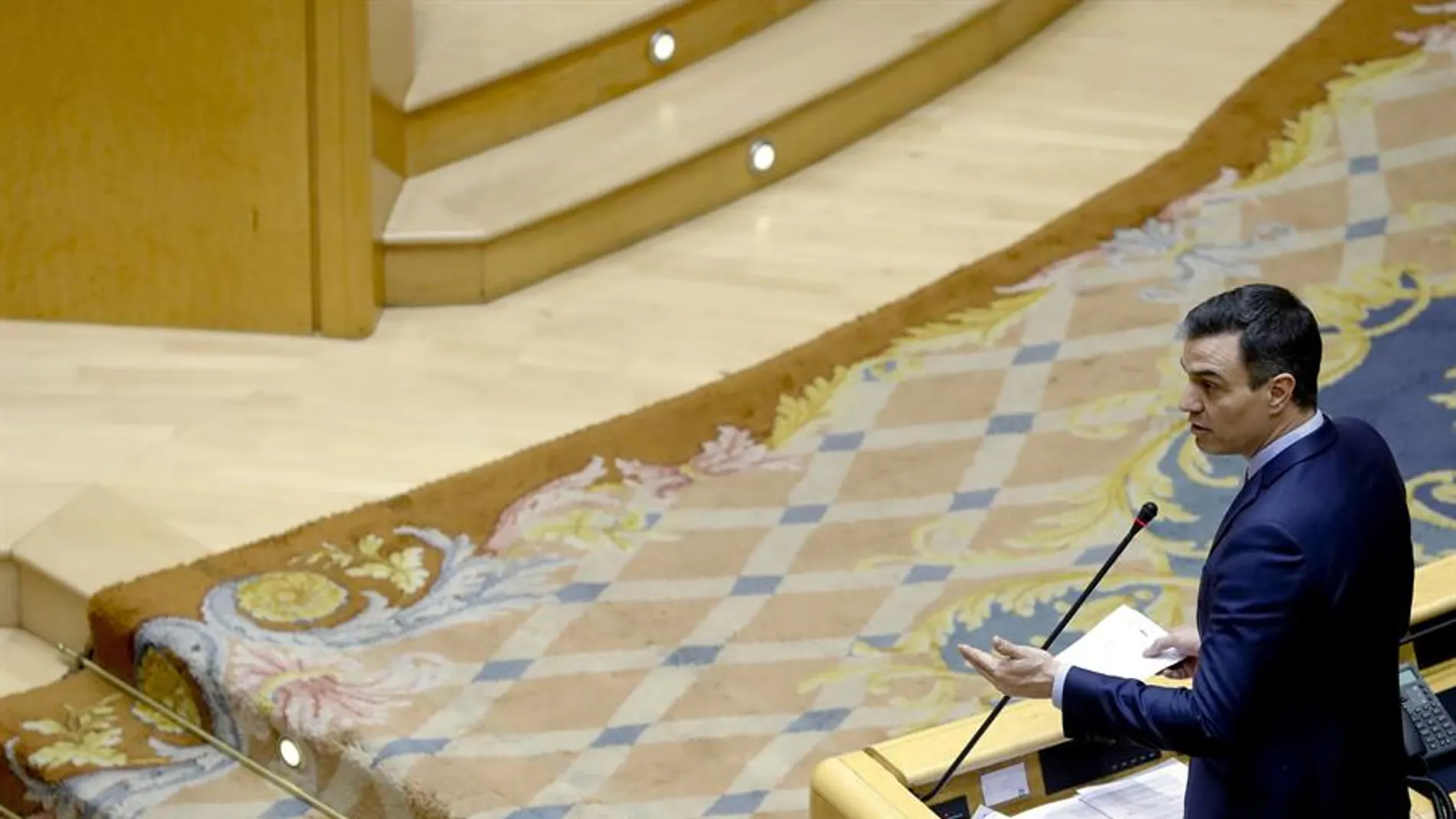 Pedro Sánchez en el Senado Pedro Sánchez en el Senado