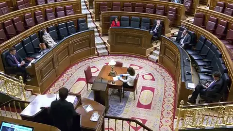 La vicepresidenta Carmen Calvo sigue el pleno del Congreso tapada con una manta después de haber superado el coronavirus La vicepresidenta Carmen Calvo sigue el pleno del Congreso tapada con una manta después de haber superado el coronavirus