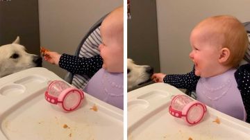 Bebe riéndose