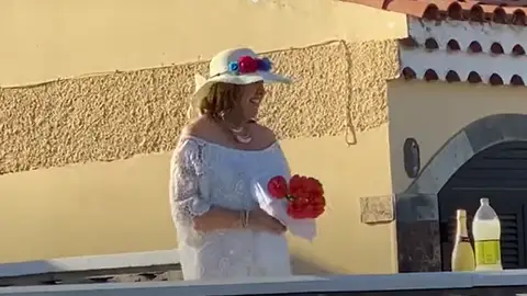 Bodas de oro Bodas de oro