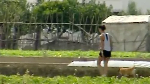 caminado por cultivo