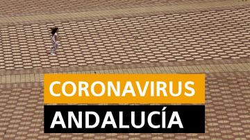 Coronavirus Andalucía: Última hora, desescalada y noticias de hoy viernes 8 de mayo, en directo