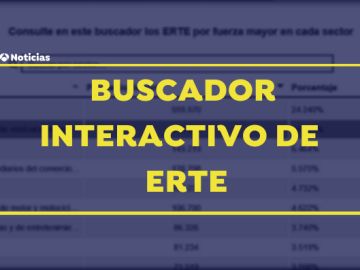 Buscador interactivo de ERTE