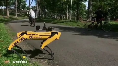 Robot Robot