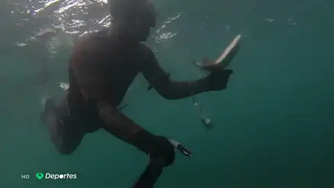 Pescadores y cazadores critican no poder realizar su actividad hasta la fase 2 de la desescalada del coronavirus Pescadores y cazadores critican no poder realizar su actividad hasta la fase 2 de la desescalada del coronavirus