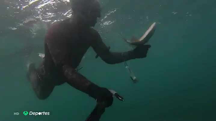 Pescadores y cazadores critican no poder realizar su actividad hasta la fase 2 de la desescalada del coronavirus
