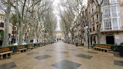 El Passeig del Born de Palma desierto debido al Estado de alarma. El Passeig del Born de Palma desierto debido al Estado de alarma.