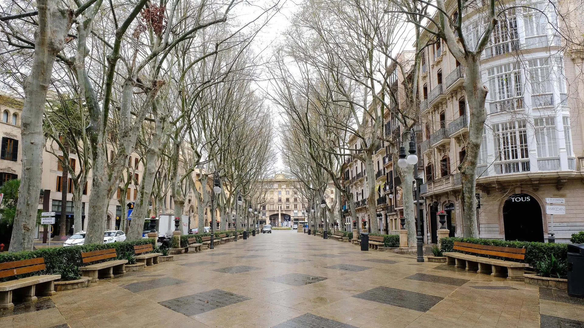 El Passeig del Born de Palma desierto debido al Estado de alarma. El Passeig del Born de Palma desierto debido al Estado de alarma.