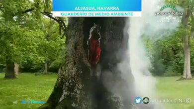 ¿Sabes lo que es el rayo latente? Una de las causas de incendios más difíciles de detectar