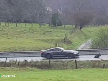 Un coche deportivo se lleva por delante a un jabalí en una carretera de Galicia