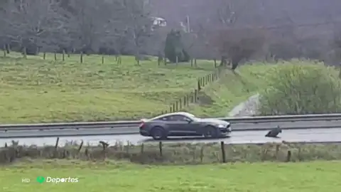 Un coche deportivo se lleva por delante a un jabalí en una carretera de Galicia Un coche deportivo se lleva por delante a un jabalí en una carretera de Galicia