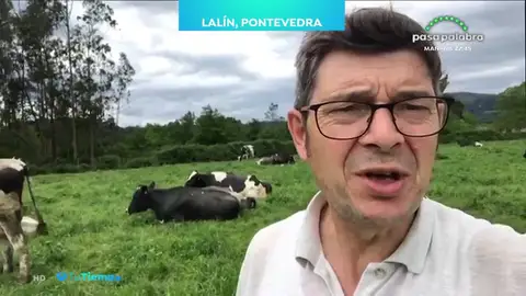 Lalín, Pontevedra leche