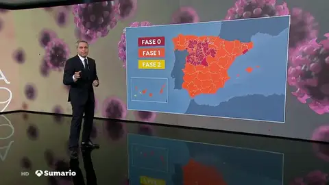 FASES NUEVA FASES NUEVA