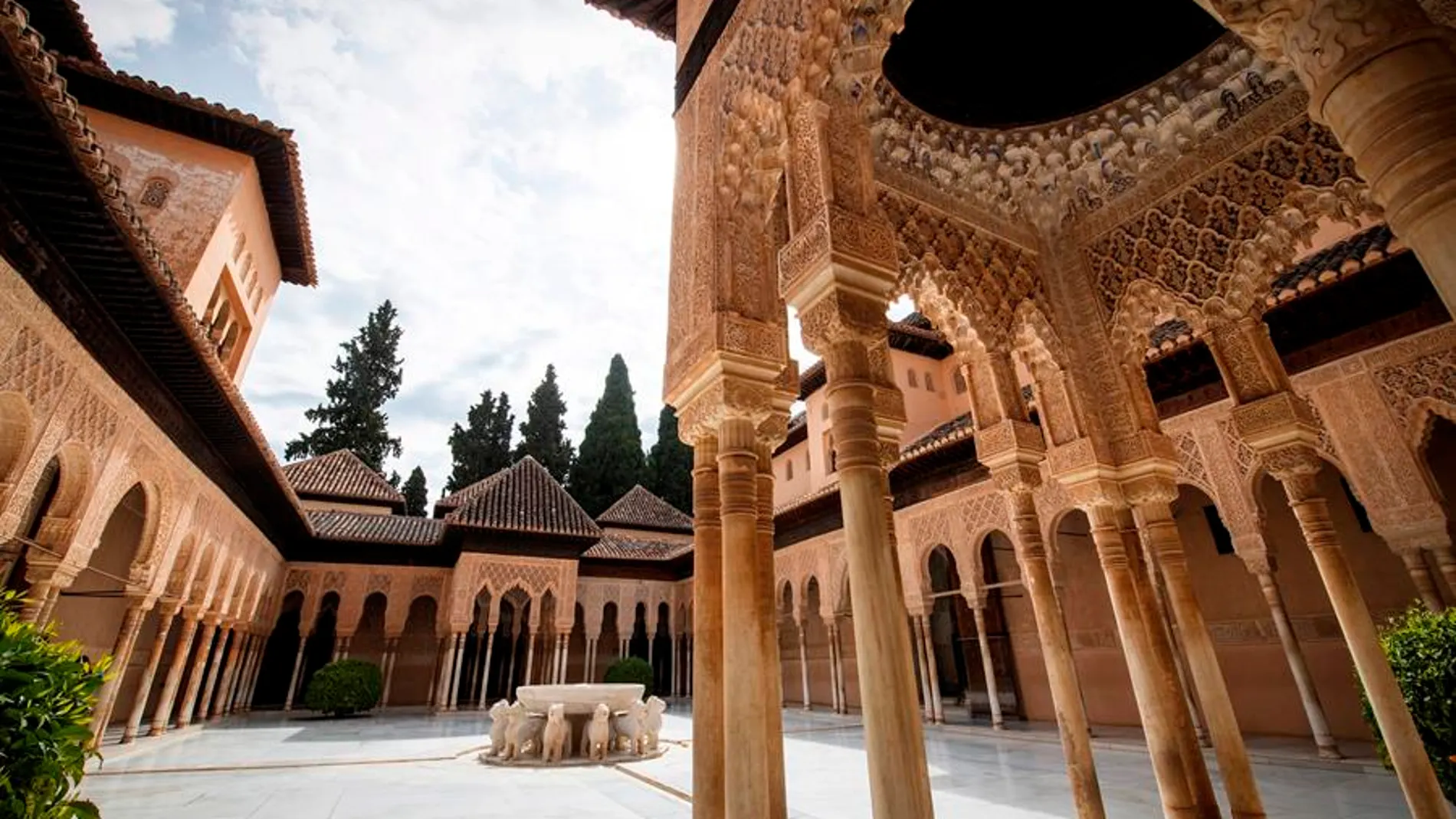 Málaga y Granada pasan a Fase 1 de desescalada Málaga y Granada pasan a Fase 1 de desescalada